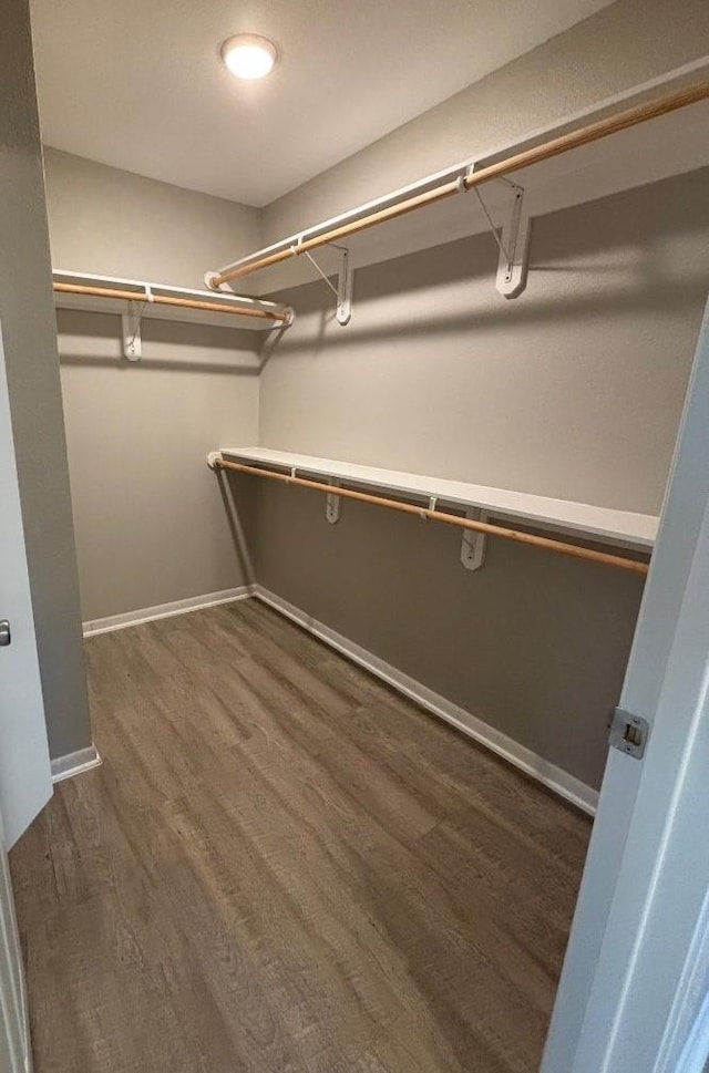 walk in closet featuring dark wood-type flooring