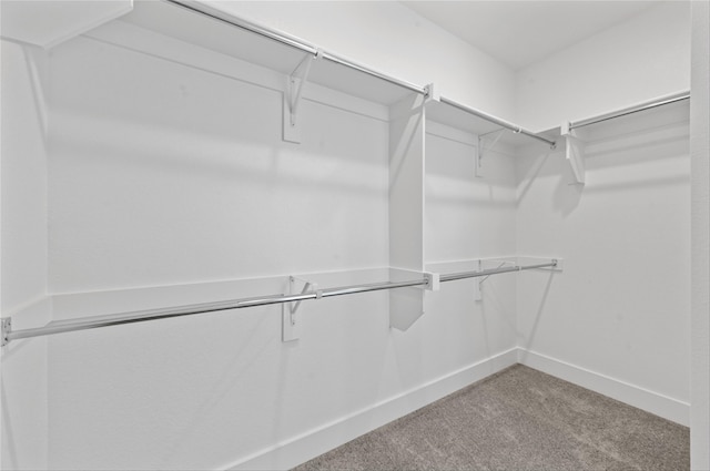 spacious closet with carpet flooring