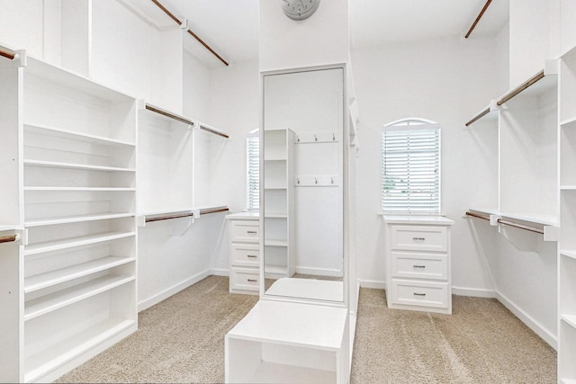 spacious closet with light carpet