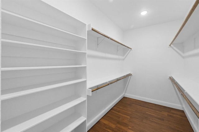 walk in closet featuring dark wood-style flooring