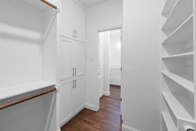 walk in closet featuring dark wood-style floors