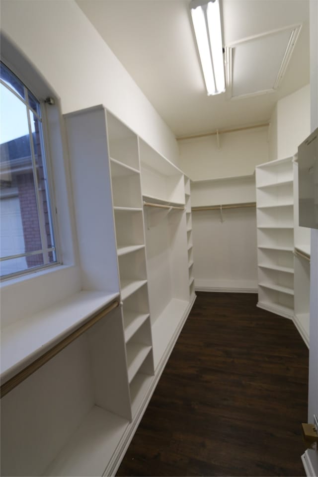 spacious closet featuring dark wood-type flooring