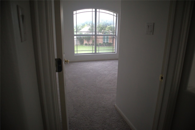 hallway with carpet flooring