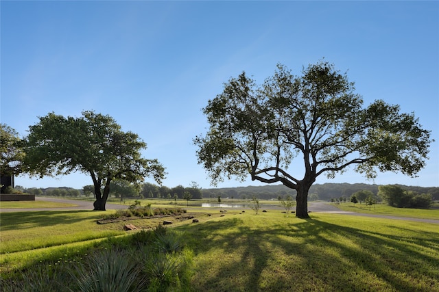 view of yard featuring a rural view