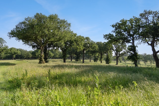 view of nature featuring a rural view