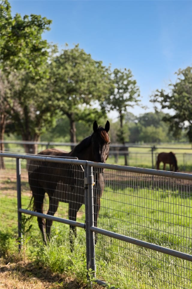 view of horse barn with a rural view