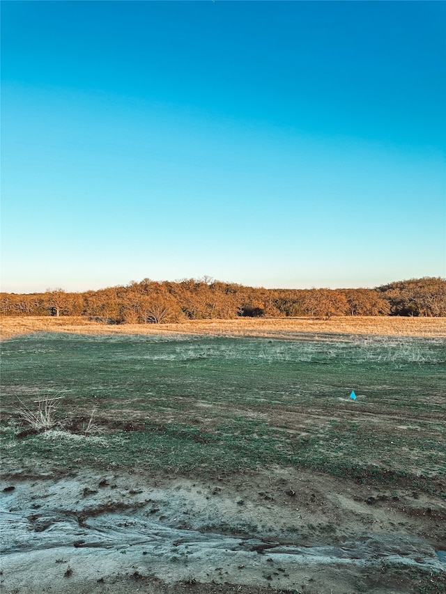 Listing photo 2 for LOT10 Dobbs Valley Rd, Santo TX 76067