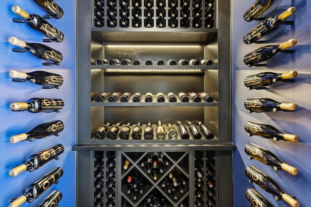 view of wine cellar