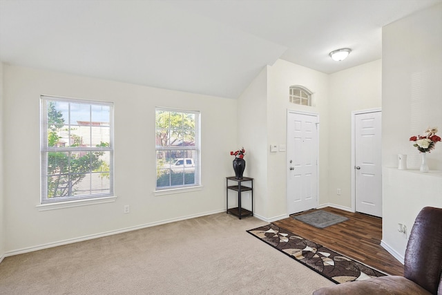 foyer entrance featuring wood-type flooring and lofted ceiling