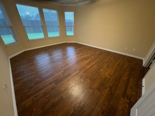 spare room featuring ornamental molding and wood-type flooring