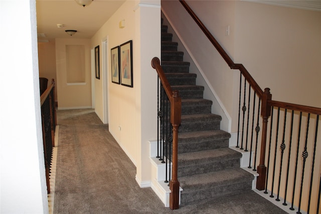 stairway with carpet flooring