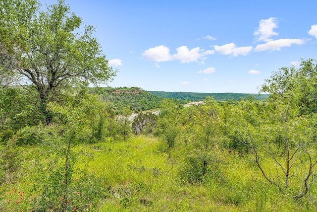 Listing photo 3 for TRACT2TBD Village Bend Rd, Mineral Wells TX 76067