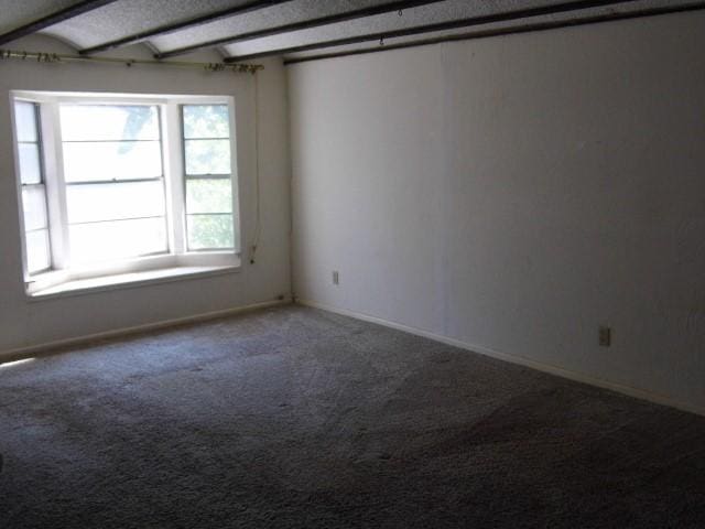 carpeted spare room with plenty of natural light