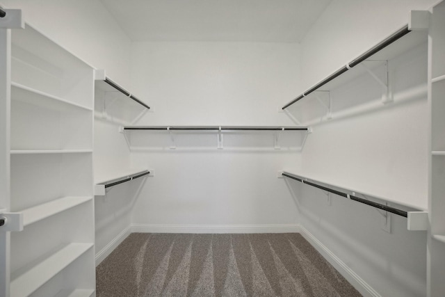 walk in closet with dark carpet