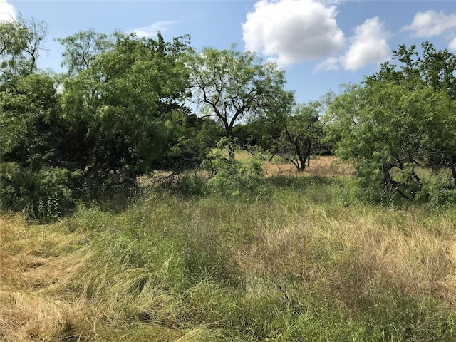 1421 Lakeside Trl, Whitney TX, 76692 land for sale