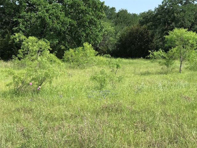 17061 Trailwood Dr, Whitney TX, 76692 land for sale