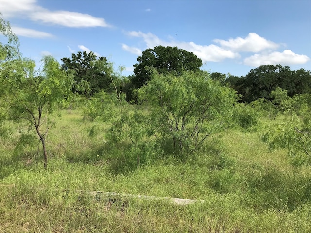 Listing photo 3 for 17061 Trailwood Dr, Whitney TX 76692