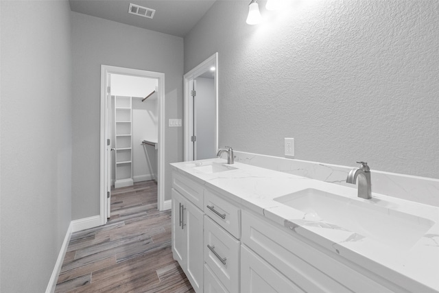 bathroom with hardwood / wood-style flooring and vanity