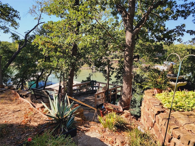 view of yard featuring a dock