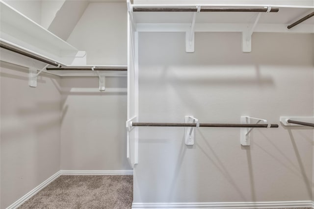 walk in closet featuring carpet