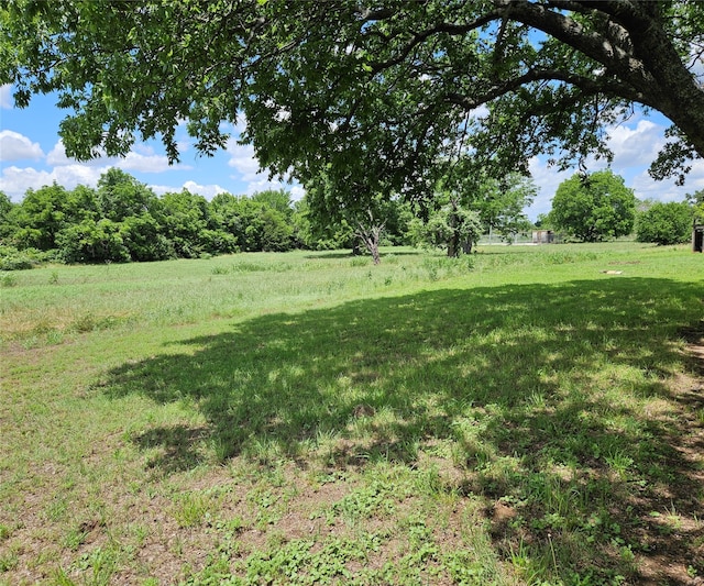 view of yard