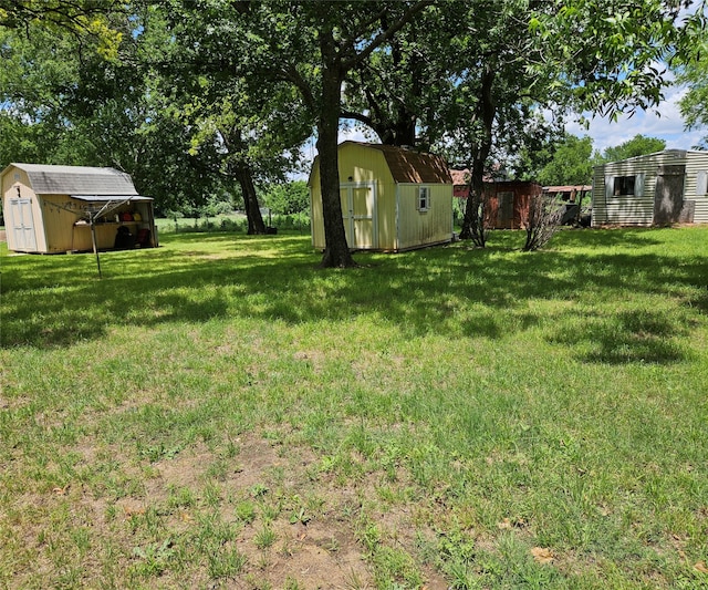 view of yard featuring a storage shed