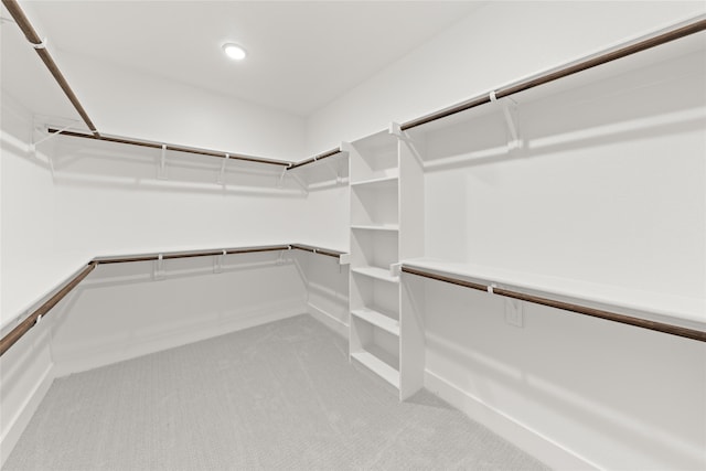 walk in closet featuring carpet floors