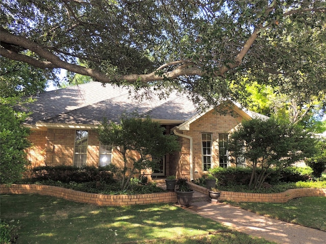 view of front of house with a front yard