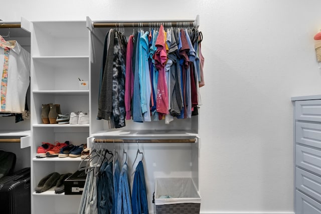 view of spacious closet