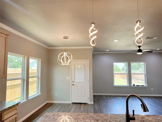 1507 Langston St, Fort Worth, TX 76105 - kitchen featuring wood finished floors, healthy amount of natural light, ceiling fan, crown molding, and pendant lighting