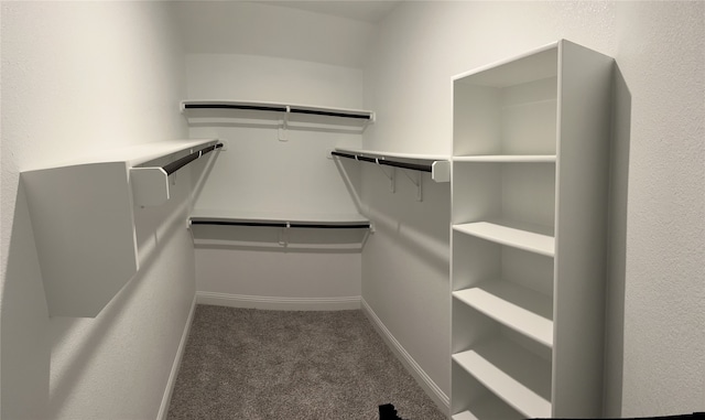 spacious closet with carpet flooring