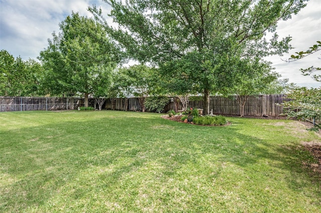 view of yard with a fenced backyard