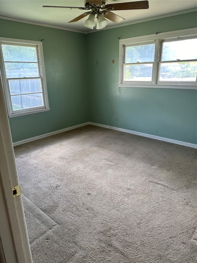 unfurnished room featuring plenty of natural light, ceiling fan, and carpet floors