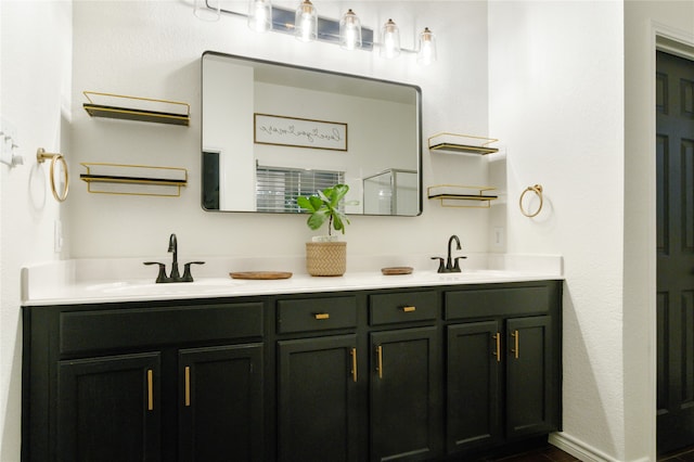 bathroom featuring dual bowl vanity