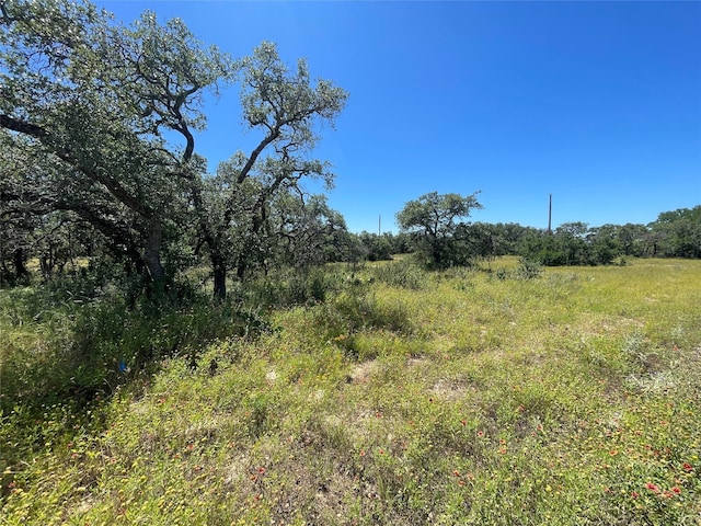 Listing photo 2 for LOT1064 Overlook Dr, Brownwood TX 76801