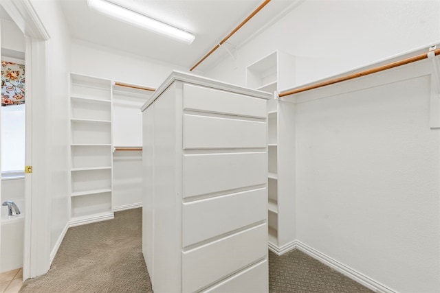 walk in closet with carpet floors