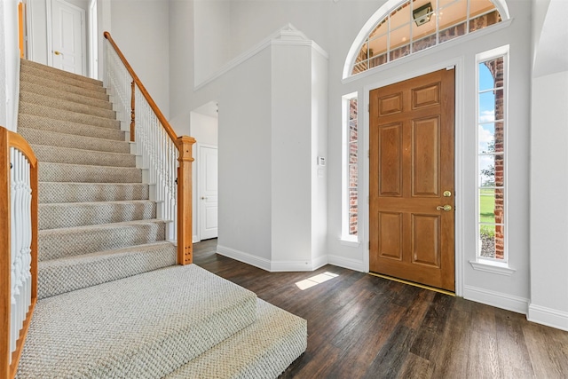 entryway featuring a high ceiling and dark hardwood / wood-style flooring