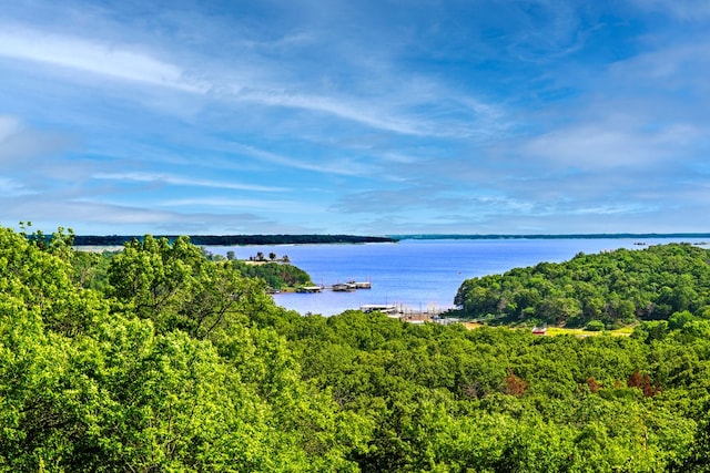 property view of water