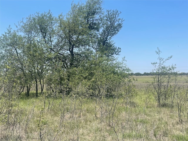 TBD Cr 338, Goldthwaite TX, 76844 land for sale