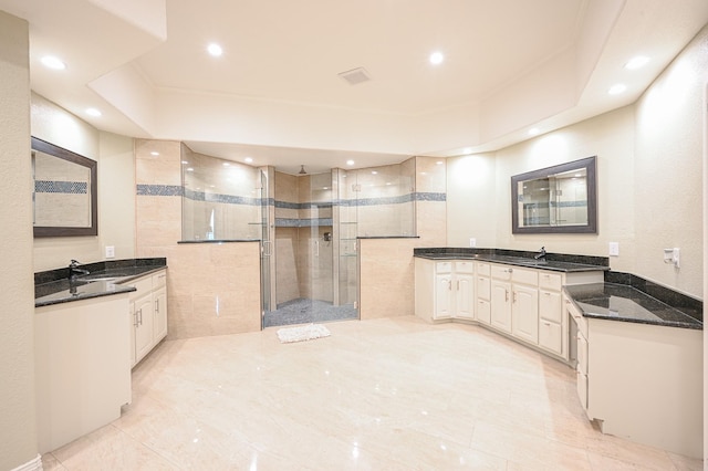 bathroom featuring vanity and a shower with shower door