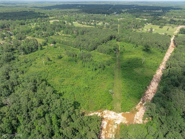 view of bird's eye view