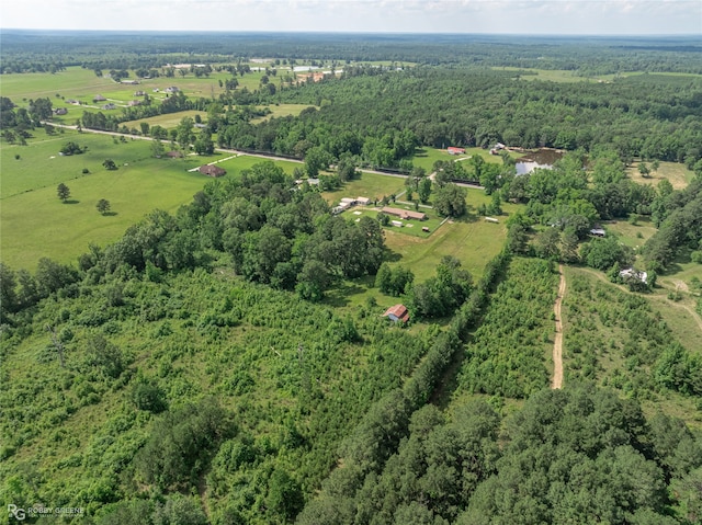 view of bird's eye view