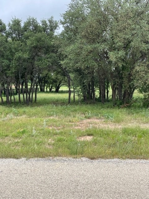 0000 Feather Bay Dr, Brownwood TX, 76801 land for sale