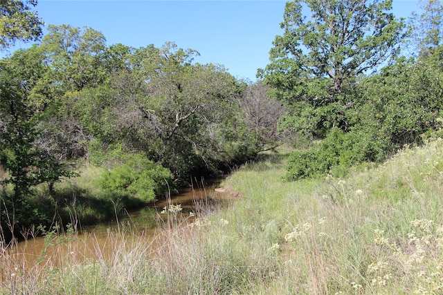 Listing photo 2 for TBD Fm 2945, Cisco TX 76437