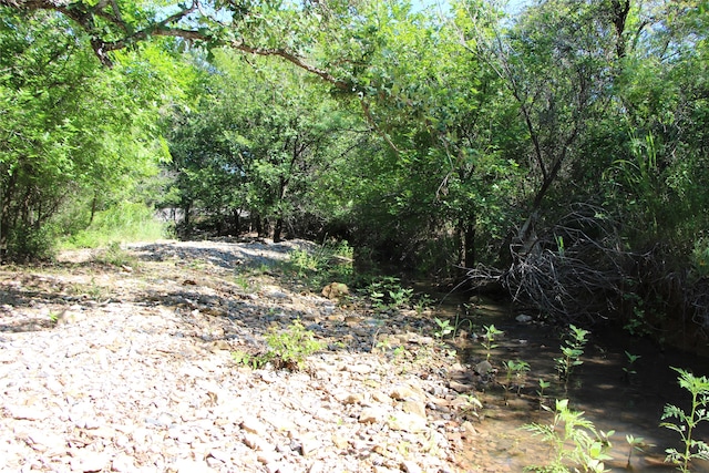 Listing photo 3 for TBD Fm 2945, Cisco TX 76437