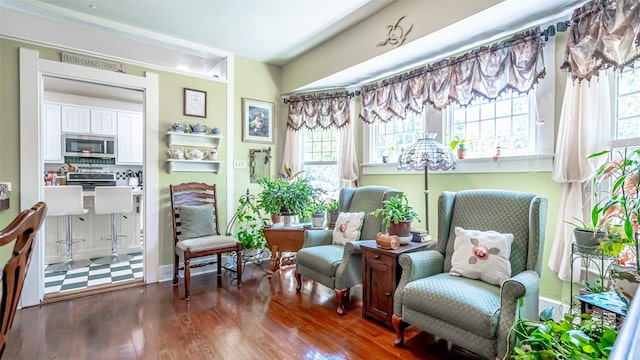 living area featuring dark wood-type flooring