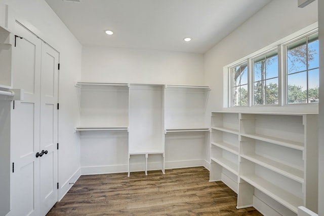 walk in closet with wood-type flooring