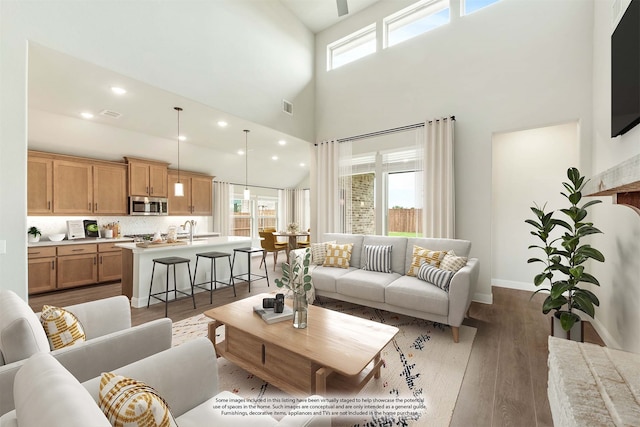 living room featuring a towering ceiling, hardwood / wood-style floors, and sink