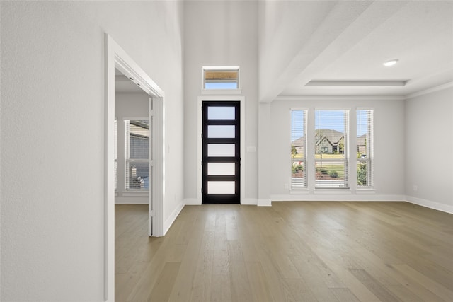 foyer featuring a tray ceiling and light hardwood / wood-style flooring