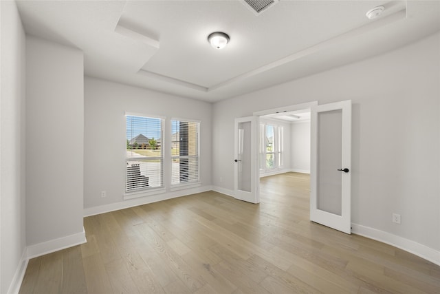 empty room featuring a tray ceiling, a wealth of natural light, and light hardwood / wood-style floors